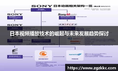 日本视频播放技术的崛起与未来发展趋势探讨